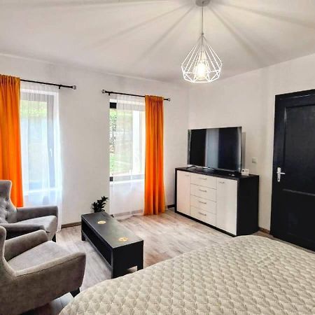 Cosy Studio In The Heart Of 布拉索夫 外观 照片