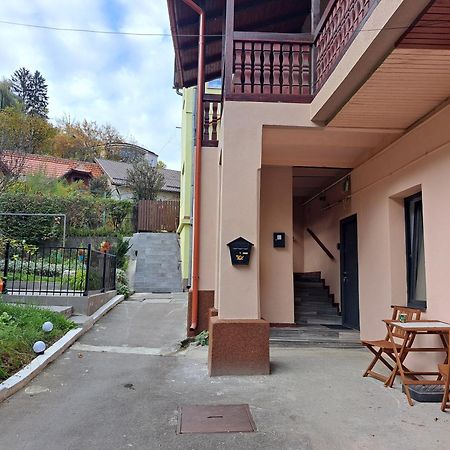 Cosy Studio In The Heart Of 布拉索夫 外观 照片